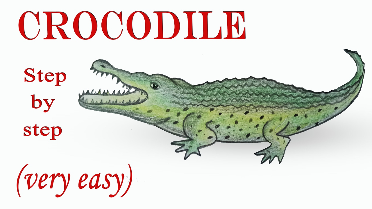 1280x720 How To Draw A Crocodile Step - Crocodile Drawing