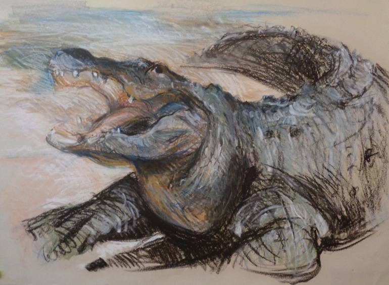 770x565 The Crocodile Drawing - Crocodile Drawing