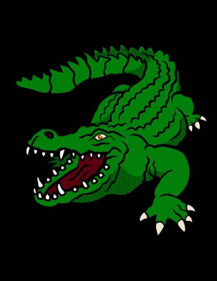 314x406 crocodile sketchbook crocodile bordered sketchbook for kids - Crocodile Drawing For Kid