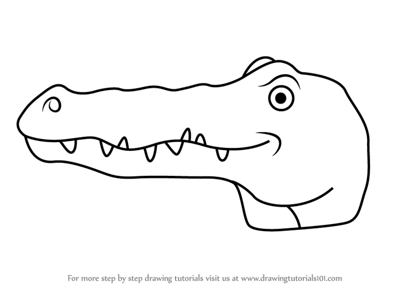 800x567 Learn How To Draw A Crocodile Face For Kids - Crocodile Drawing For Kid
