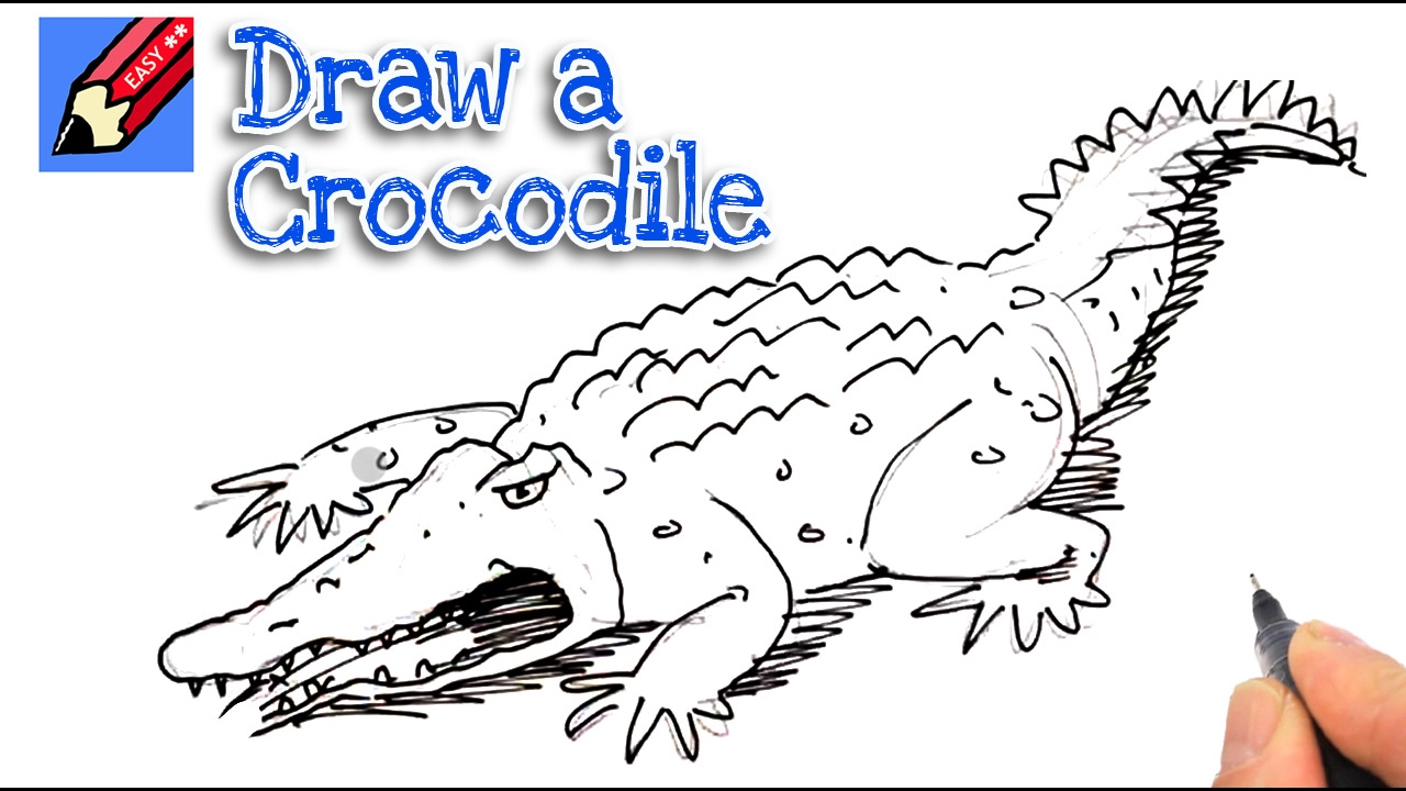 1280x720 Learn How To Draw A Crocodile Real Easy For Kids And Beginners - Crocodile Drawing For Kid