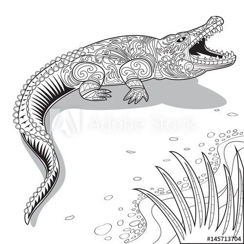 500x500 Crocodile Sketch Draw New How To Draw Crocodile Skin Stock - Crocodile Line Drawing