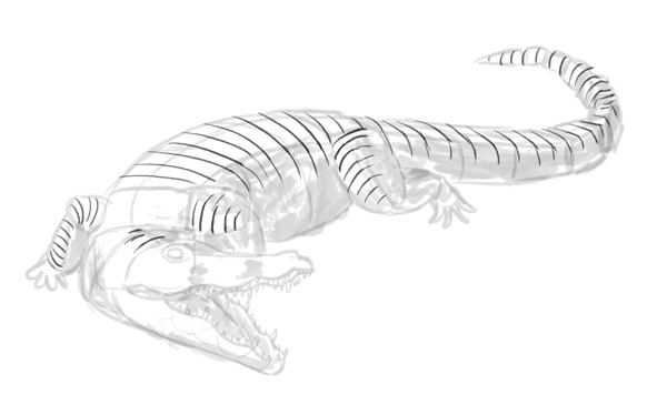 600x374 how to draw animals crocodiles, alligators, caimans and gharials - Crocodile Line Drawing