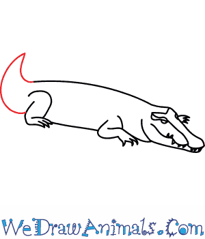 300x350 How To Draw A Saltwater Crocodile - Crocodile Line Drawing
