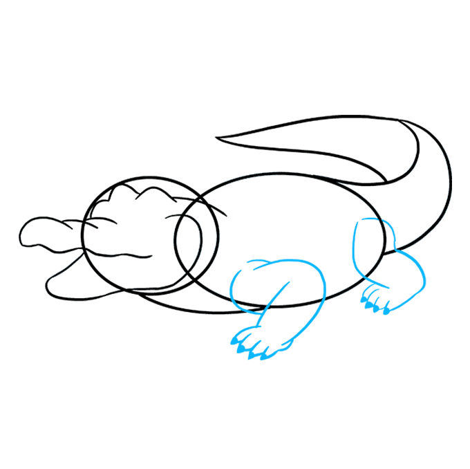 680x678 How To Draw An Alligator - Crocodile Line Drawing