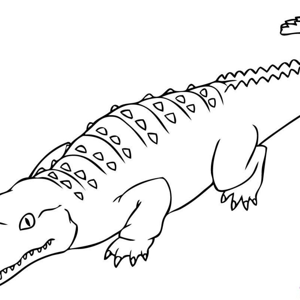 1024x1024 Thanksgiving Crocodile Coloring Pages Saltwater Google - Crocodile Line Drawing