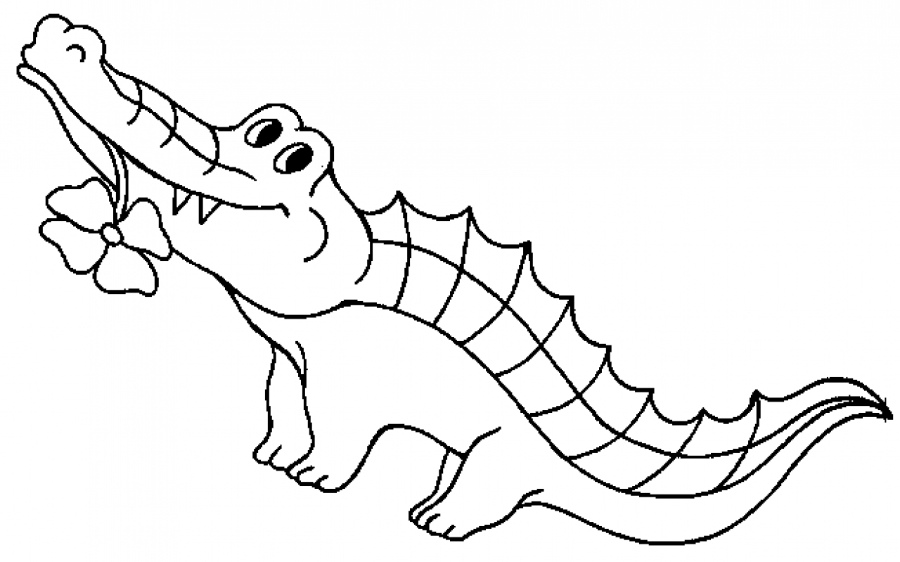 1280x799 Crocodile Cartoon Drawing - Crocodile Outline Drawing