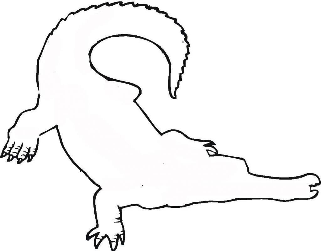 1024x801 Crocodile Drawing Outline - Crocodile Outline Drawing