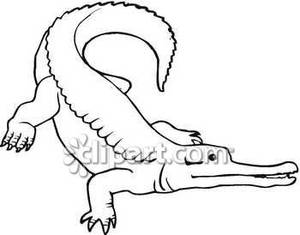 300x235 Crocodile Outline - Crocodile Outline Drawing
