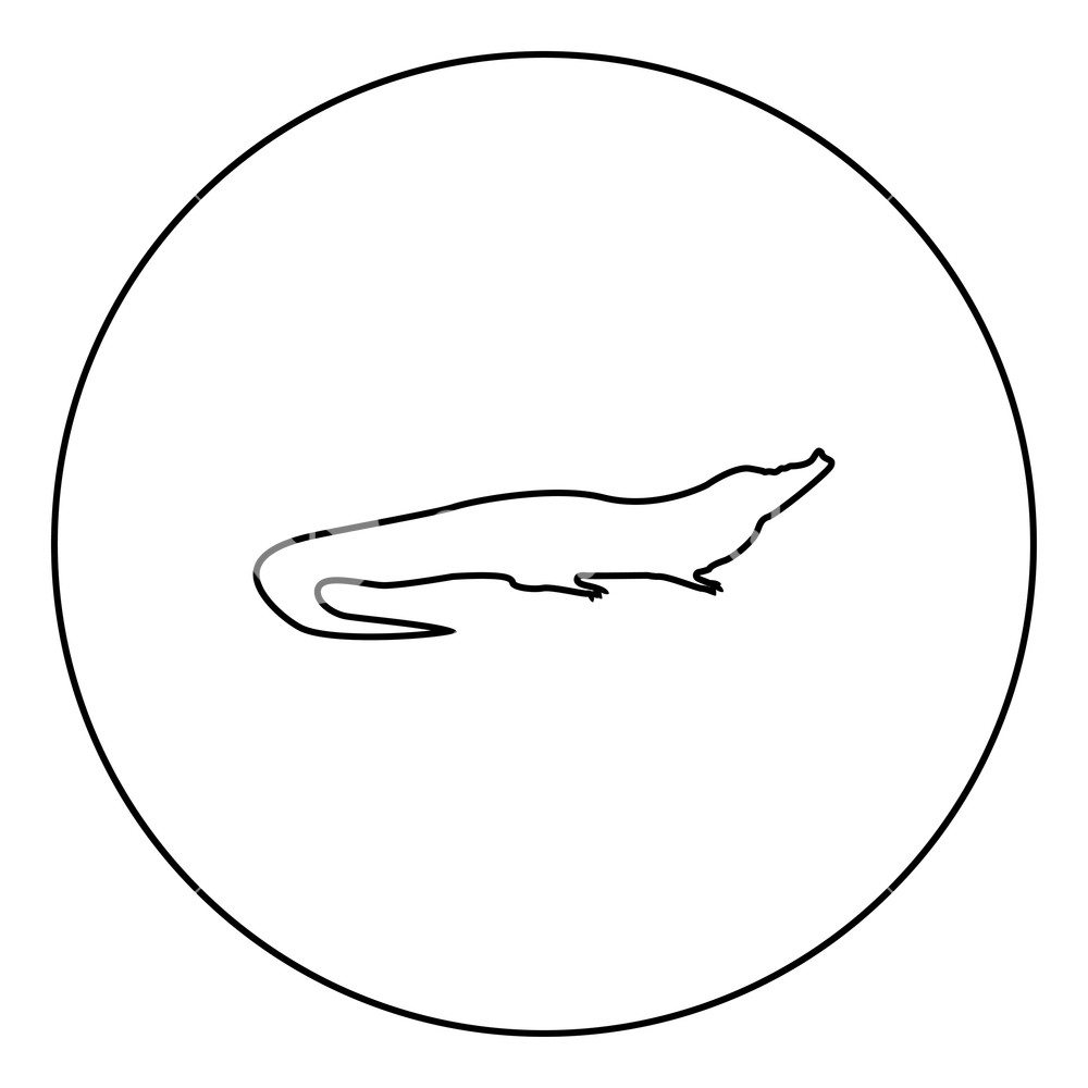 1000x1000 Crocodile Black Icon In Circle Outline Vector Illustration Image - Crocodile Outline Drawing