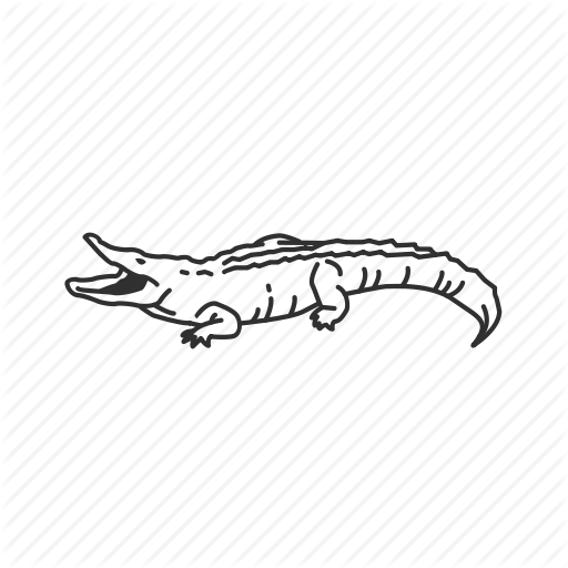 512x512 Crocs Drawing Outline Transparent Png Clipart Free Download - Crocodile Outline Drawing