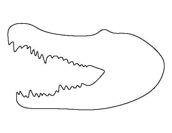 550x425 Best Animal And Such Images Crocodile Outline - Crocodile Outline Drawing