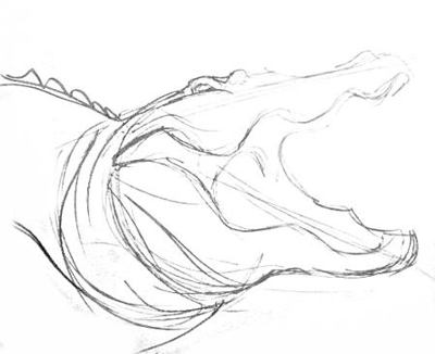 400x326 Learn How To Draw A Crocodile - Crocodile Outline Drawing