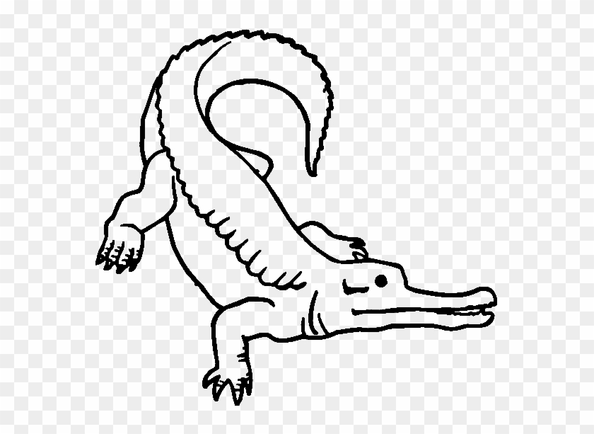 840x613 Surungen - Crocodile Outline Drawing