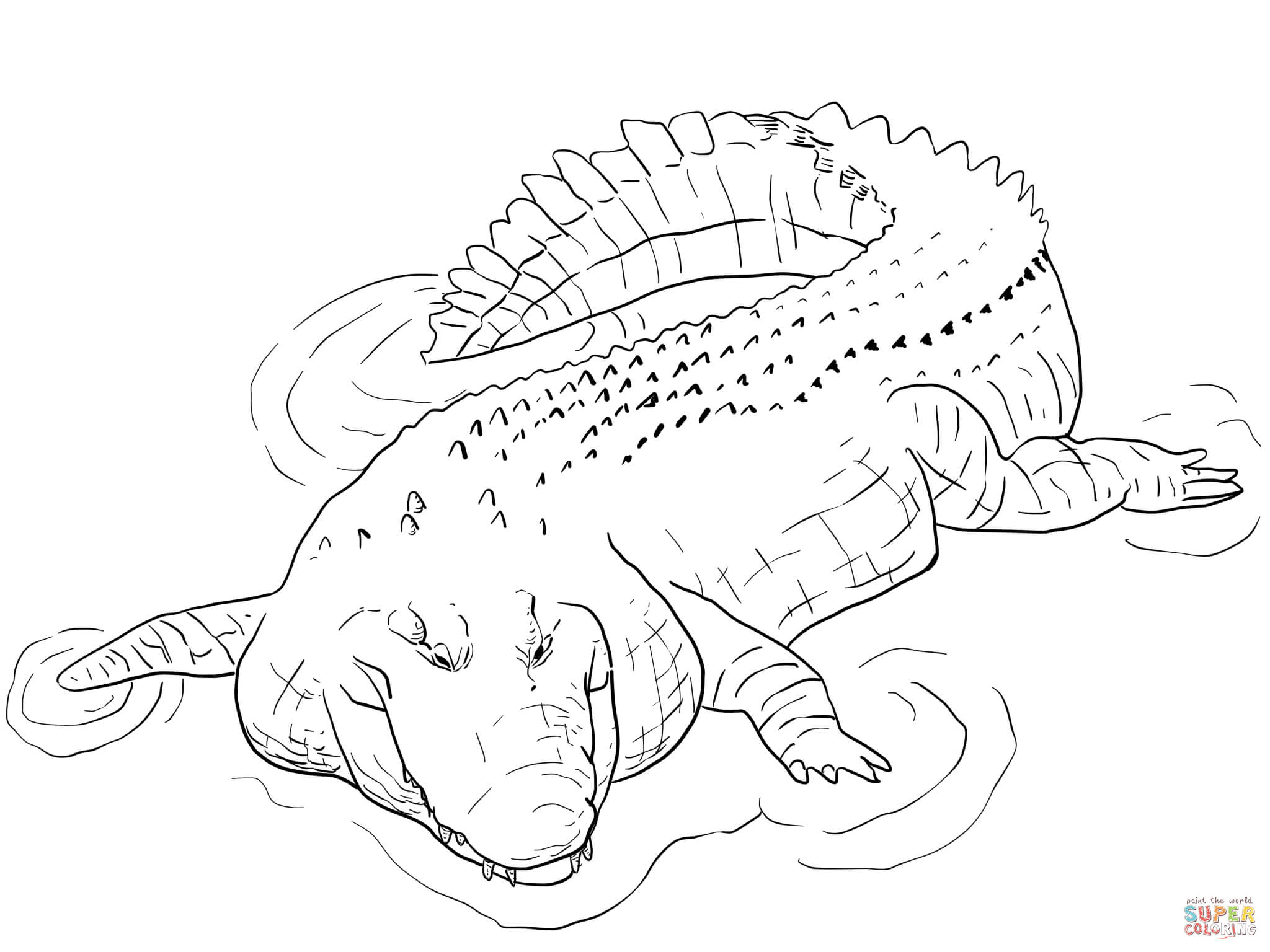 2048x1536 Crocodile Drawing Outline For Free Download - Crocodile Outline Drawing