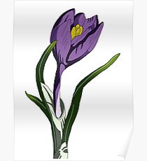 210x230 crocus drawing posters redbubble - Crocus Drawing