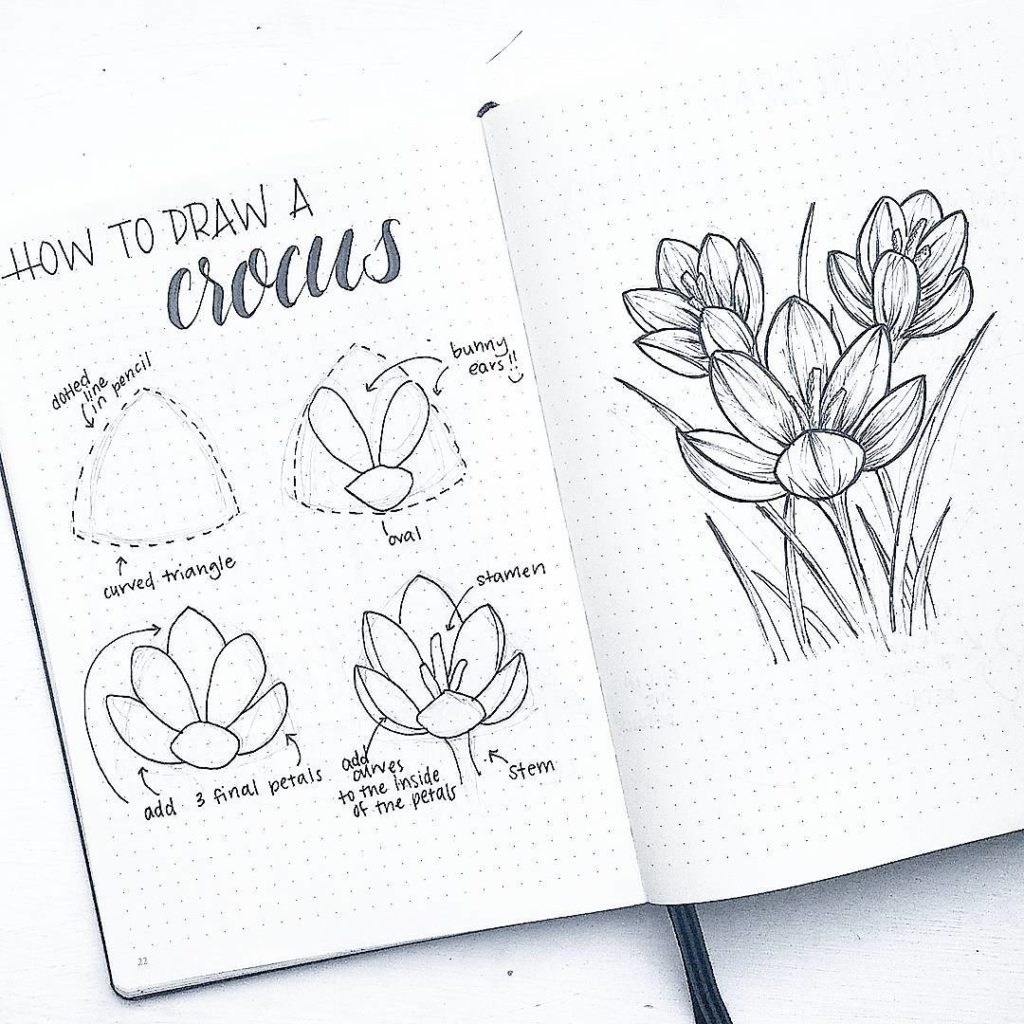 1024x1024 how to draw easy flower doodles for bullet journal spreads - Crocus Drawing