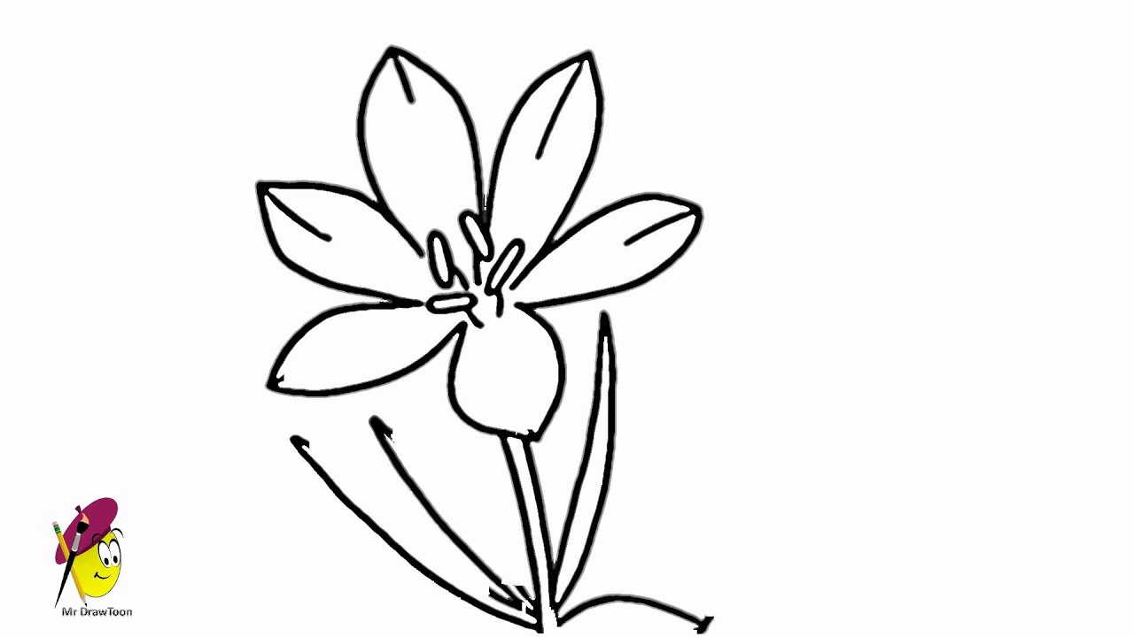 1280x720 blossom crocus flower - Crocus Drawing