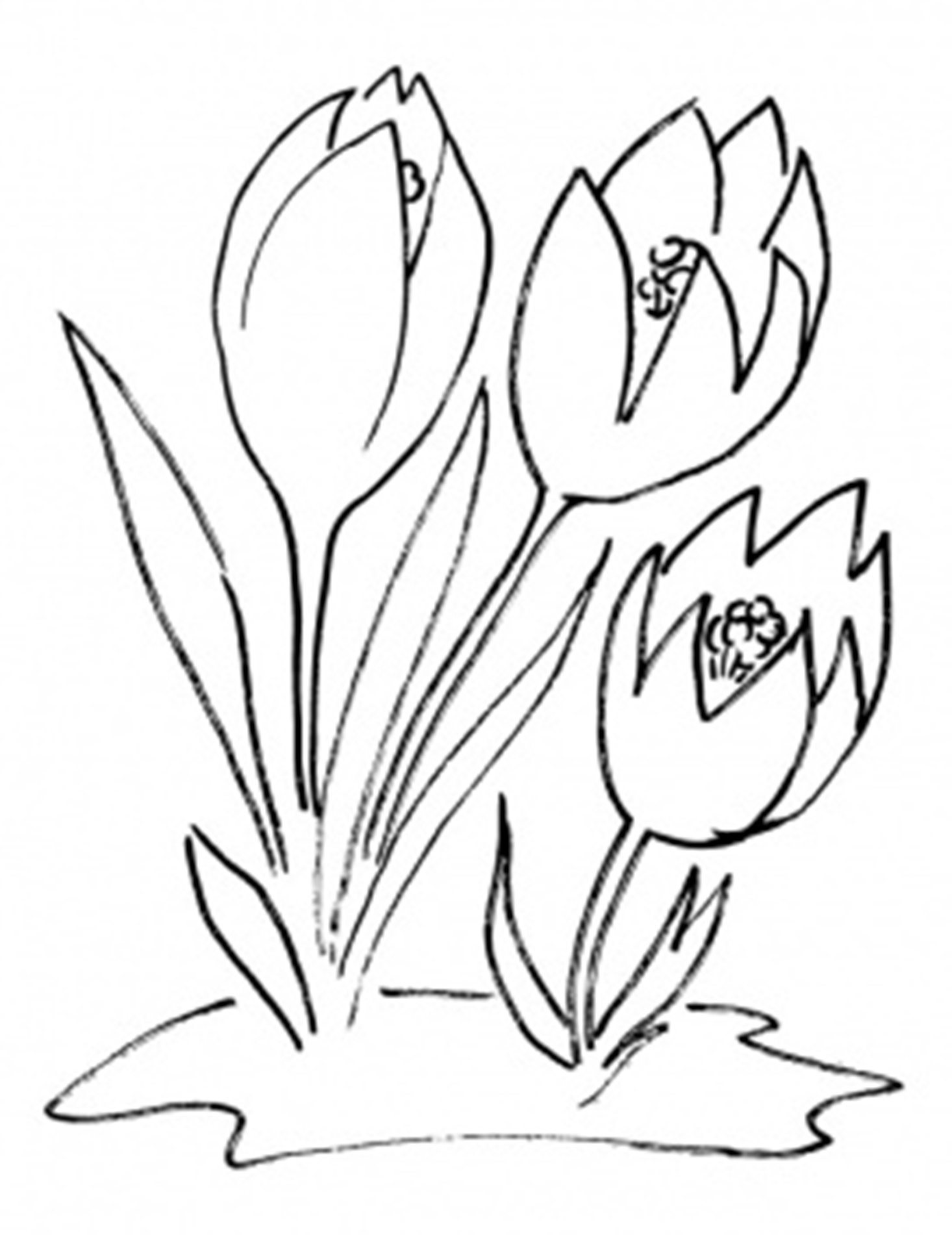 Подснежник раскраска для детей 3 4. Раскраски весенние цветы для детей 4-5 лет. Весенние цветы раскраска для детей. Раскраски весенних цветов для детей. Подснежники раскраска для детей.