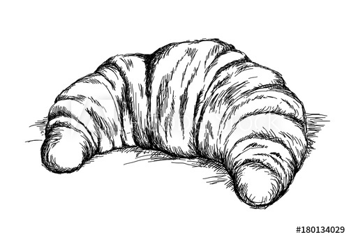 500x340 Hand Drawn Beautiful Croissant Vector Illustration - Croissant Drawing