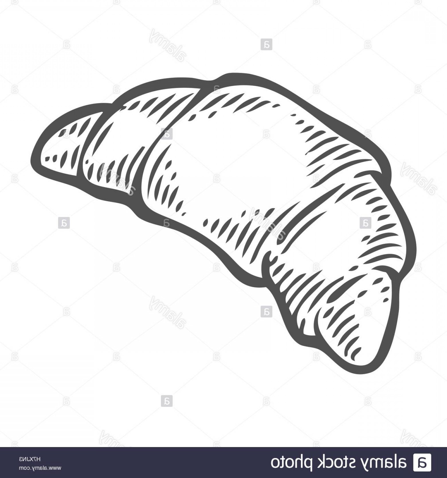 1560x1668 Stock Photo Bread Croissant Vector Hand Drawn Illustration Other - Croissant Drawing