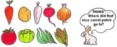 387x155 crop rotation - Crops Drawing