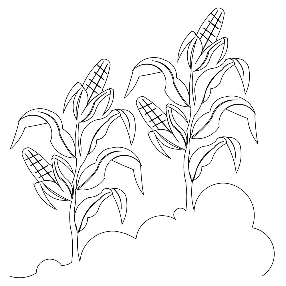 Crop Drawing Easy ~ How To Draw A Scenery Of Cultivation Step By Step ...