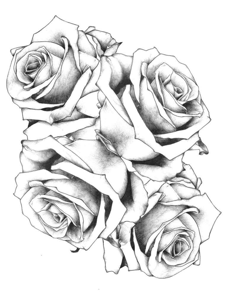 786x1017 Hoontoidly Rose Drawing Tattoo Images - Cross And Rose Drawing
