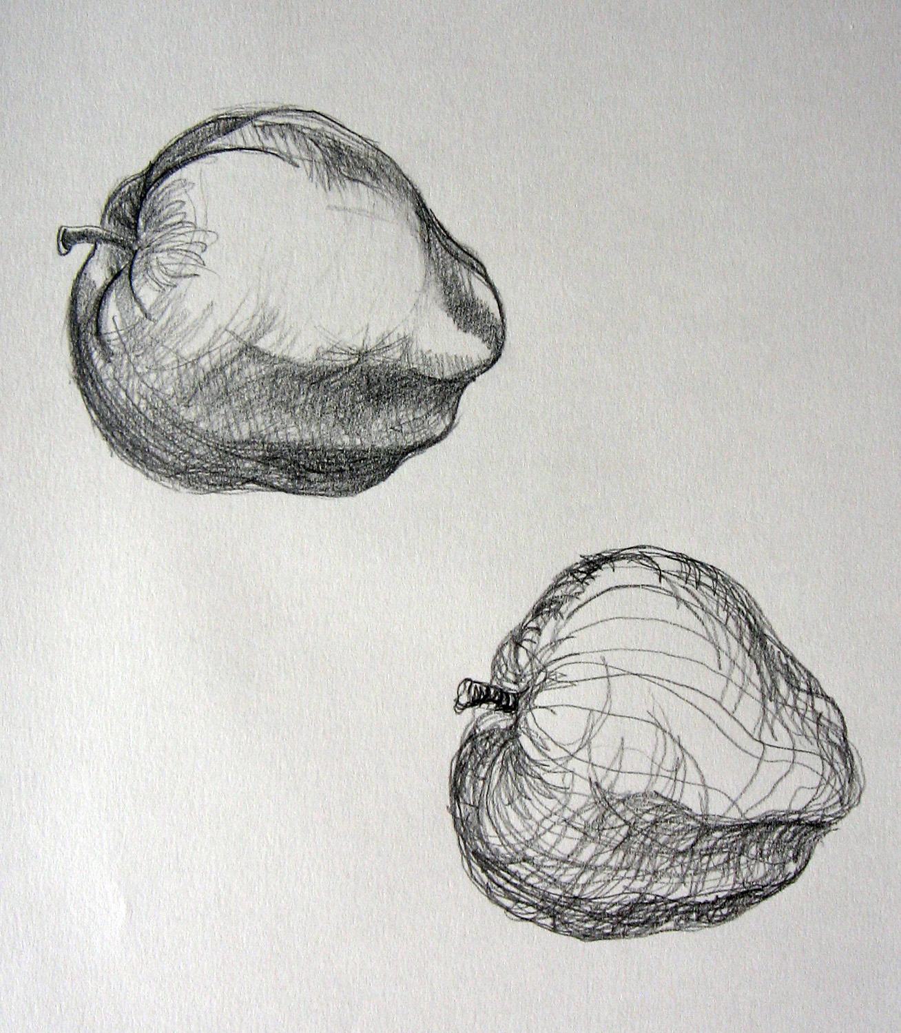 Cross Contour Drawing Apple