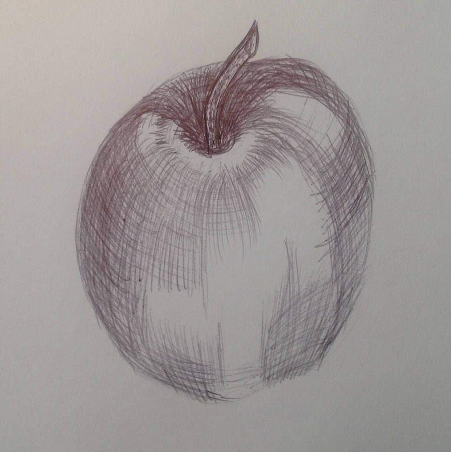 893x895 Cross Contour Lines Apple - Cross Contour Drawing Apple