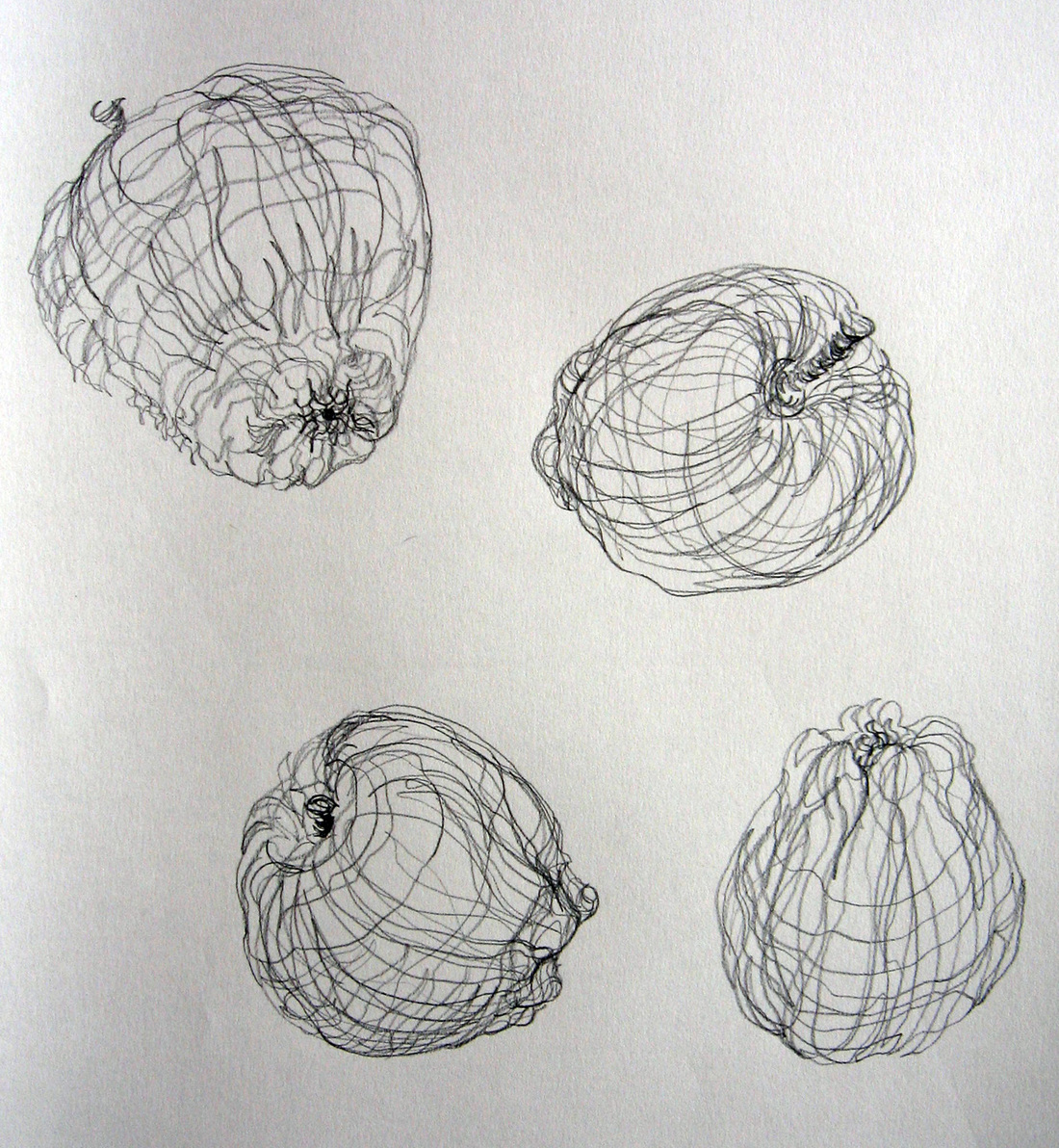 Cross Contour Drawing Apple At Explore Collection