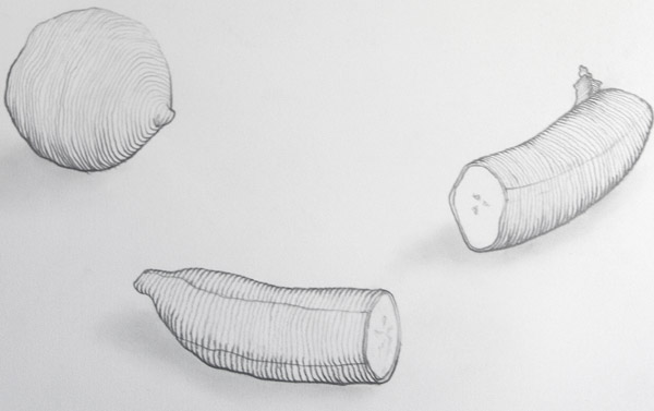 600x377 Drawing Cross Contour Drawing - Cross Contour Drawing Apple