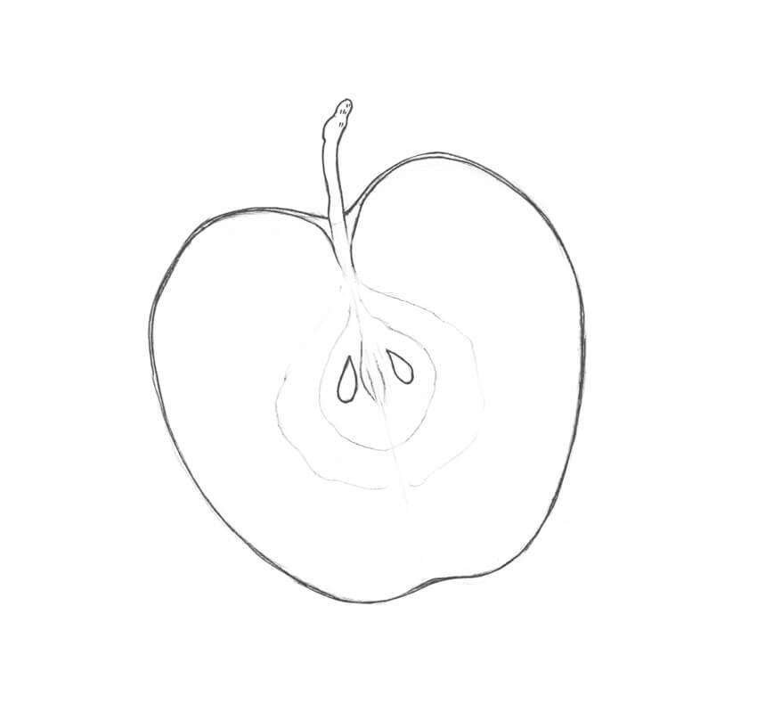 850x800 How To Draw An Apple - Cross Contour Drawing Apple