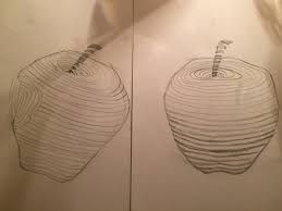 259x194 Image Result For Cross Contour Apple Drawing Contourcross - Cross Contour Drawing Apple