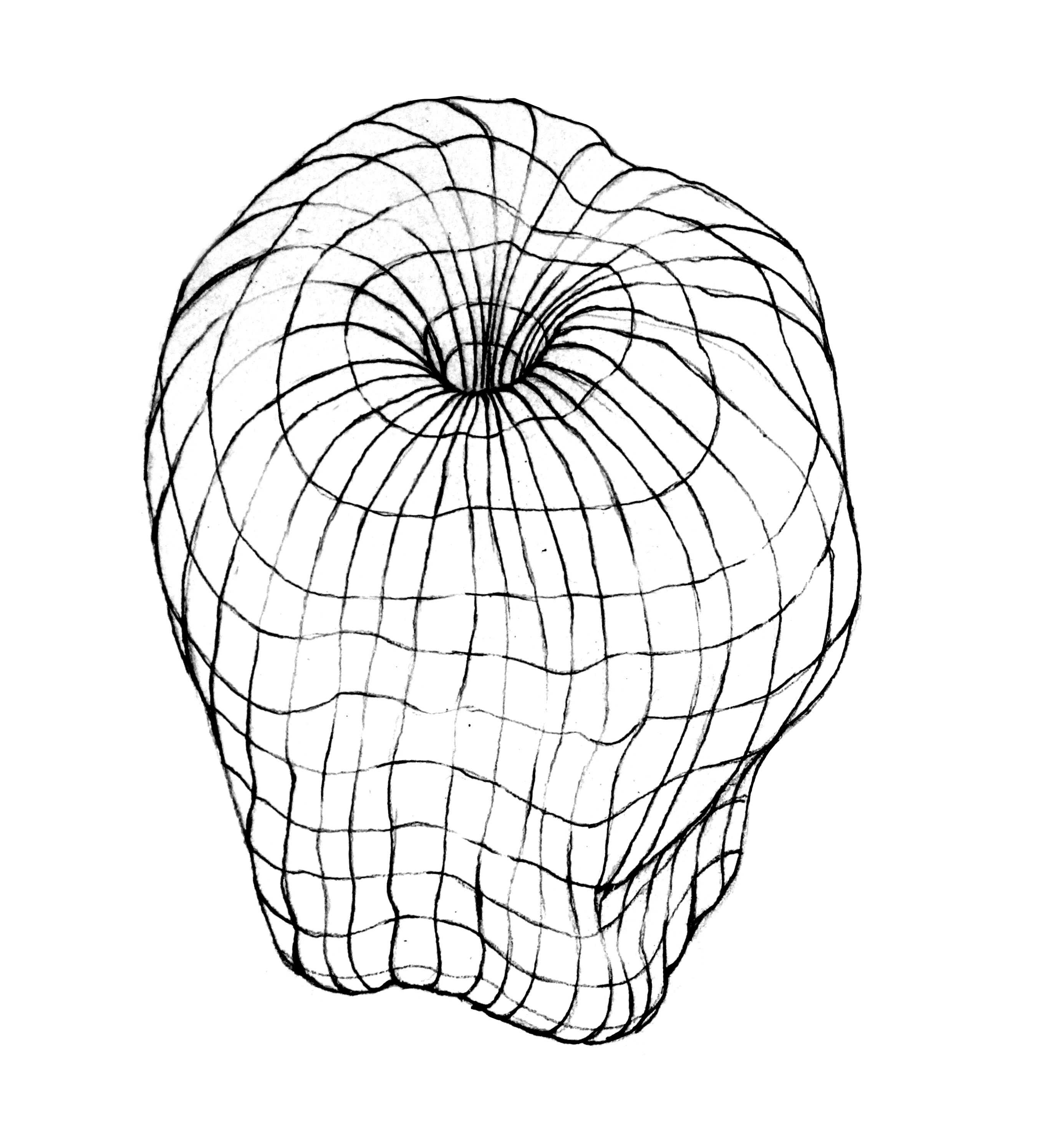 Мчд контур. Объёмный контурный эскиз. Креативные контурные рисунки. Cross Contour line. Пинтерест контуры.