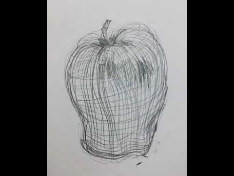 480x360 Apple Cross Contour Shaded Progression - Cross Contour Drawing Apple