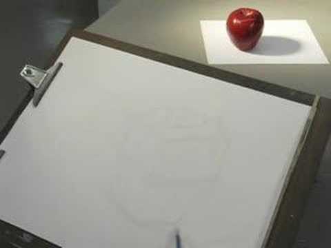 480x360 Cross Contour Drawing Apple Exercise - Cross Contour Drawing Apple