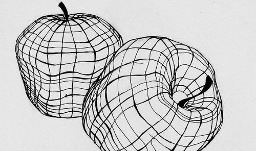 Cross Contour Drawing Fruit At Explore Collection