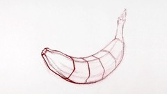240x135 The Art Science Of Drawing Contours Udemy - Cross Contour Drawing Fruit