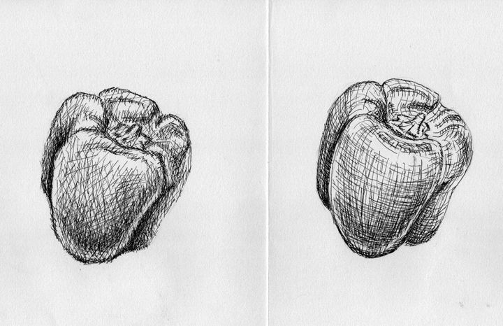 720x466 Cross Contour And Hatching Turn To Art In Stuffed Peppers - Cross Contour Drawing Fruit