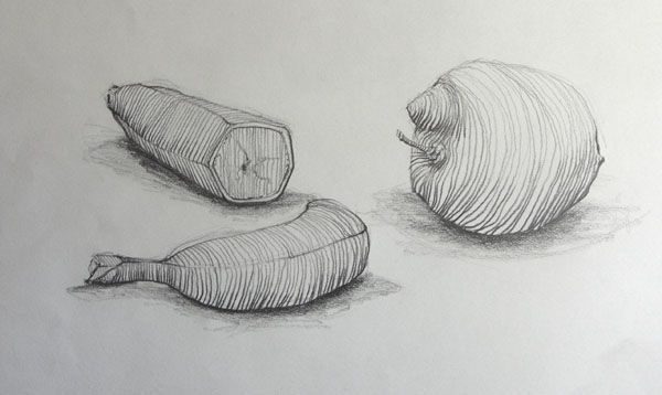 600x358 Student Drawing Of Fruit With Cross Contour Lines Fruit Okul - Cross Contour Drawing Fruit