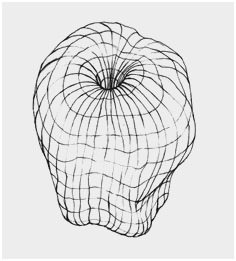 236x261 Cross Contour Drawing Tutorial Astonishing Ideas - Cross Drawing Ideas