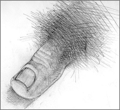 400x366 Drawing Of The Day - Cross Hatching Drawing