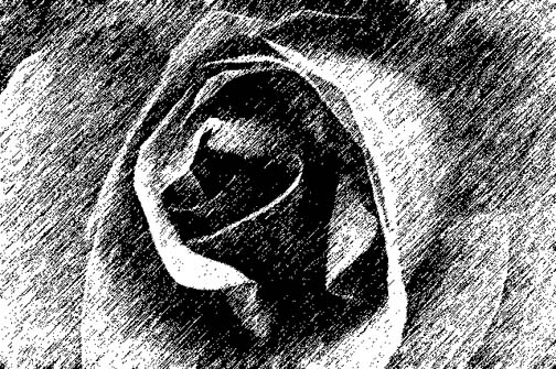 504x335 Drawing Nature Sketches - Cross Sketch Drawing