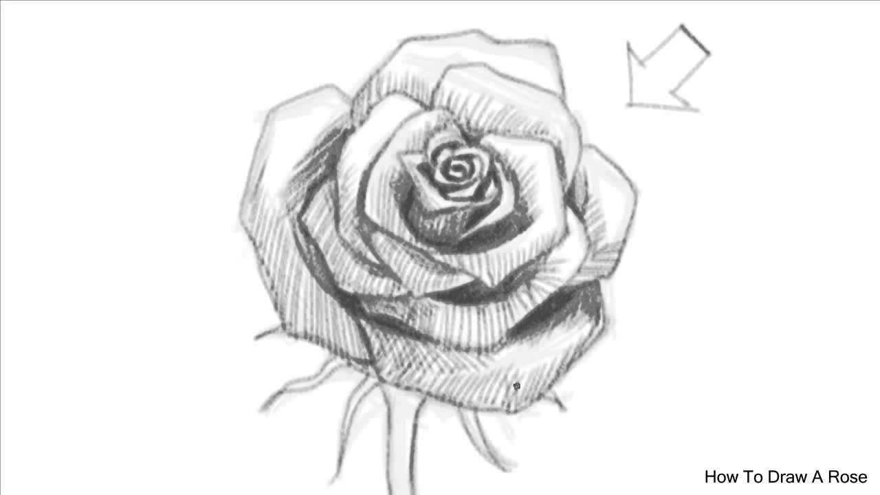 1280x720 Huge Collection Of 'cross With Roses Drawing' Download More Than - Cross With A Rose Drawing