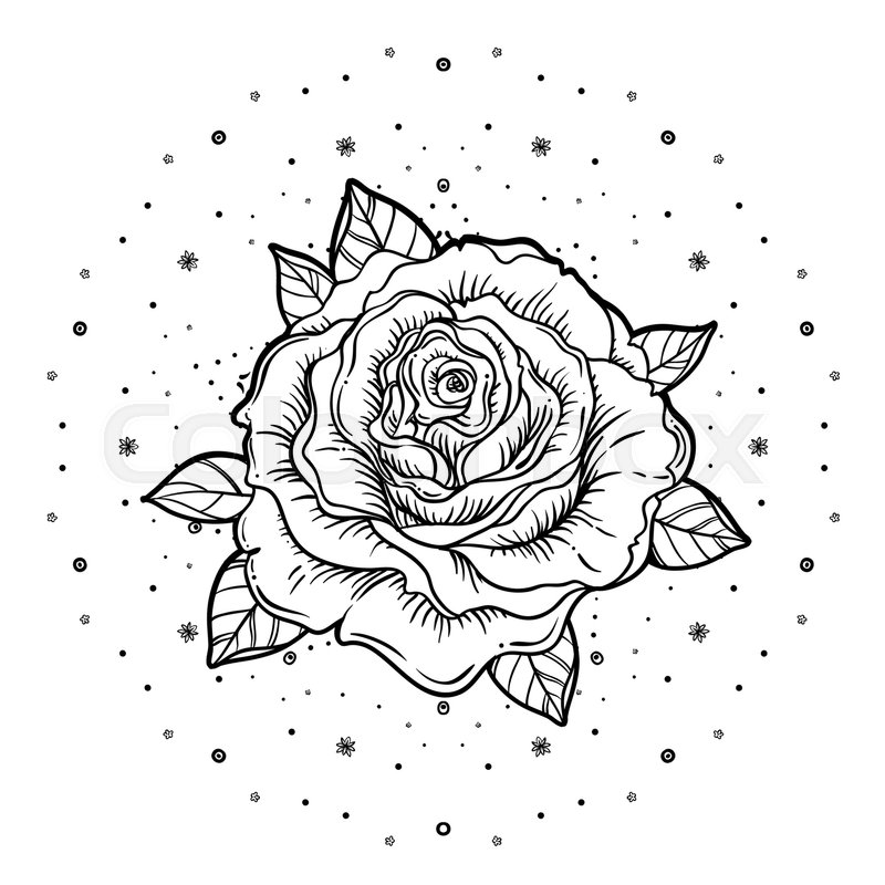 800x800 Rosicrucianism Symbol Blackwork Stock Vector Colourbox - Cross With A Rose Drawing