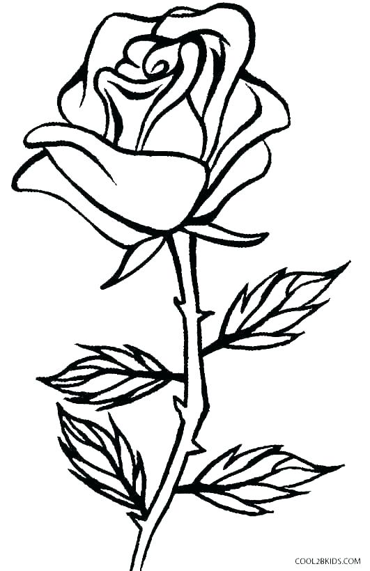 531x820 Crosses With Roses Coloring Pages Of Also - Cross With Roses Drawings