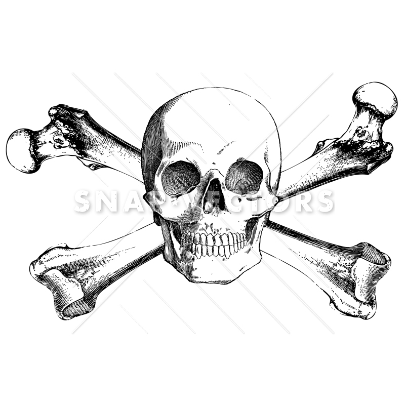800x800 Vector Clipart Realistic Skull And Crossbones - Crossbones Drawing