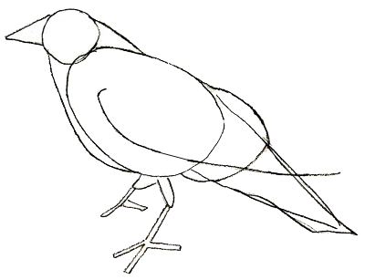 400x307 How To Draw A Crow - Crow Bird Drawing