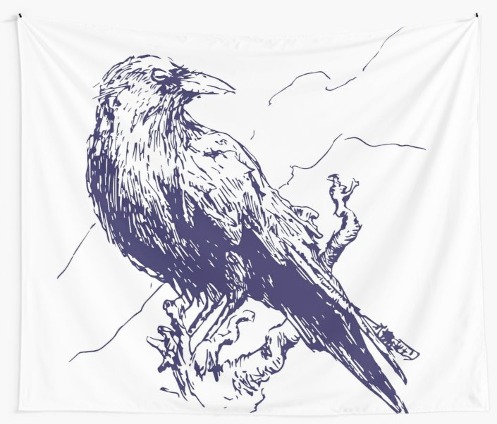 705x602 Drawing Crow Bird Ball Pen T Shirt Ink Pen Dark Wall Tapestries - Crow Bird Drawing